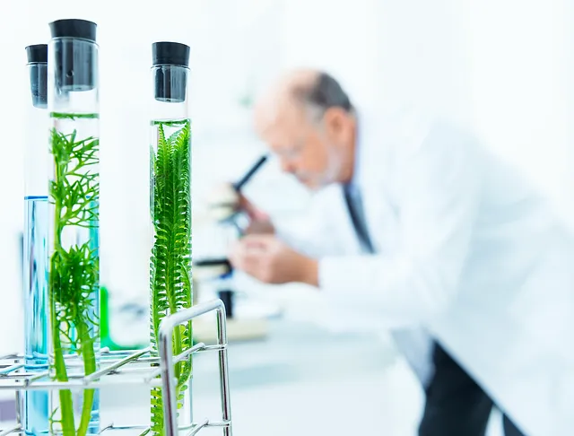 A picture of a scientist looking in to a microscope and two plants in glass tubes that are used for moisture-wicking finish on fabrics